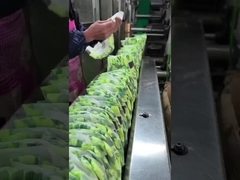 uniconcern soft baby diapers