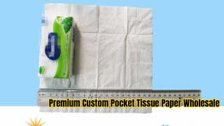 Napkin pocket tissue Paper 100% Virgin Wood Pulp Mini tissue