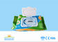 15x20 CM Natural Wet Wipes For Bay Cleaning With 50 Pcs Cute Packing